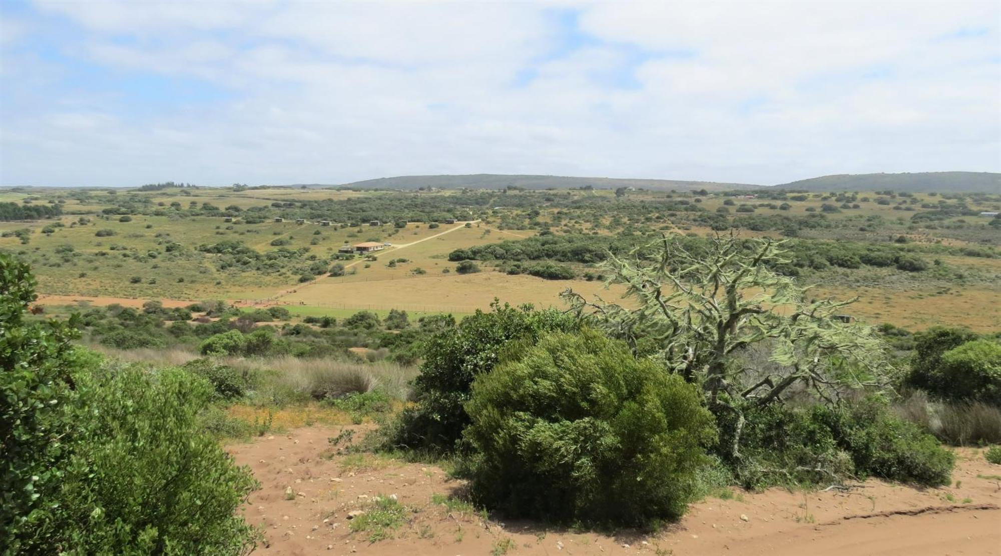 דירות סטיל ביי Baardbos Private Game Reserve מראה חיצוני תמונה