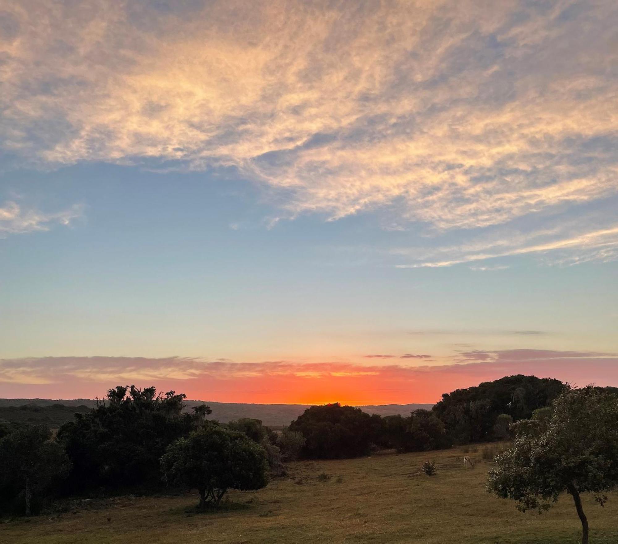 דירות סטיל ביי Baardbos Private Game Reserve מראה חיצוני תמונה