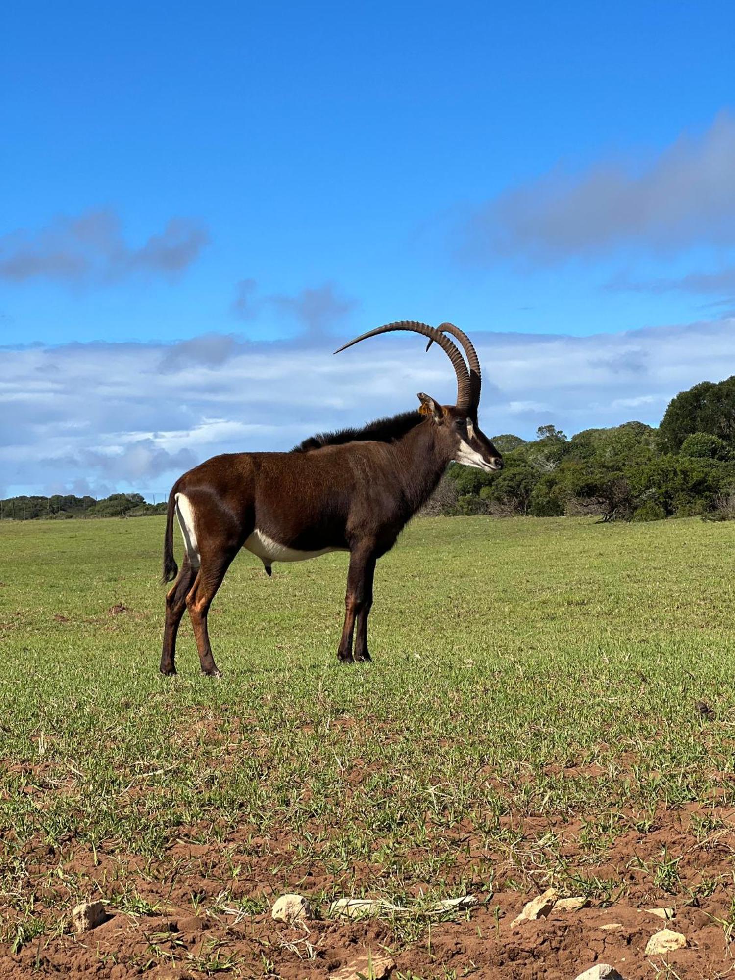 דירות סטיל ביי Baardbos Private Game Reserve מראה חיצוני תמונה