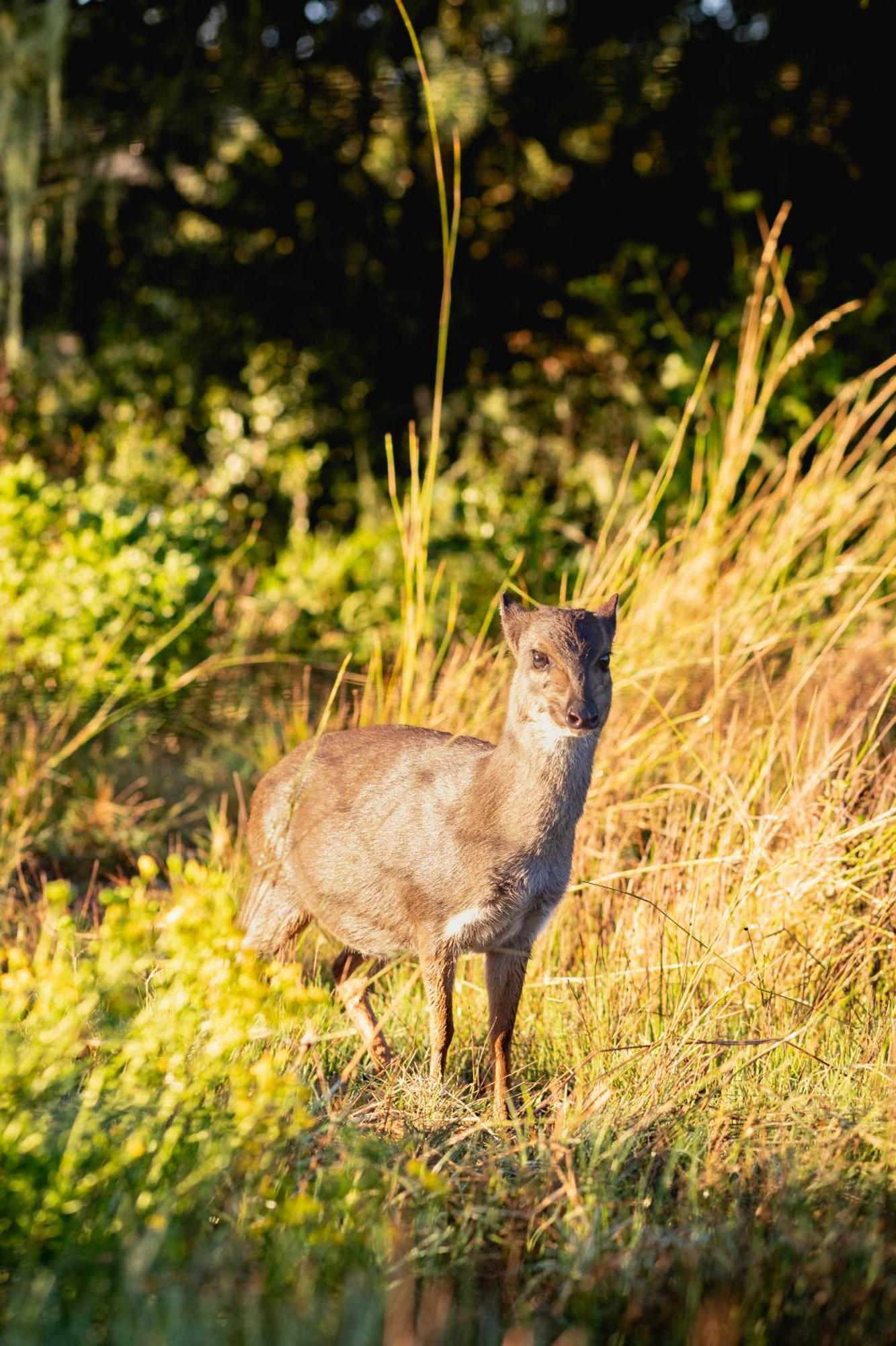 דירות סטיל ביי Baardbos Private Game Reserve מראה חיצוני תמונה